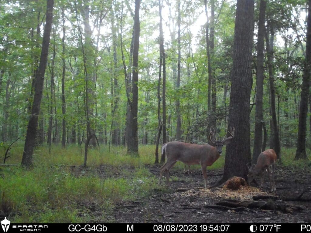 Apple cracker deer feed