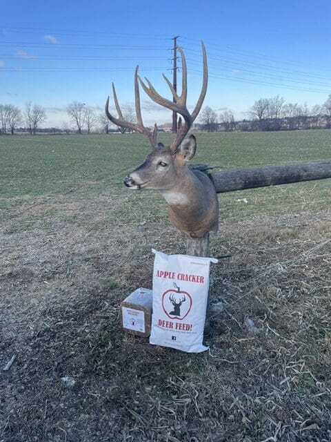 Apple Cracker Deer Feed Buck