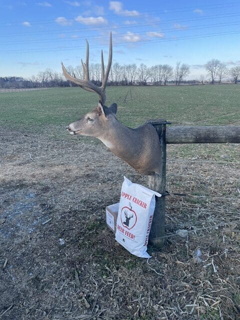 Apple Cracker Deer Feed Buck