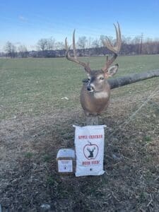 Apple Cracker Deer Feed Buck