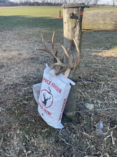 Apple Cracker Deer Feed Buck